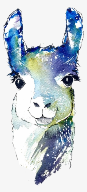 Camel Camello Sicker Freetoedit Sccamel - Llama Watercolor #655073