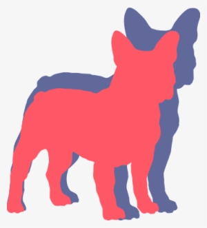 French Bulldog Health - Bulldog #655221