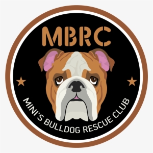 English Bulldog - Badge Holder - Dog Badge - Vet Badge #655292