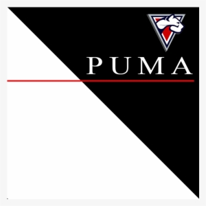 Puma - Advantage - Quantum Touch #655346