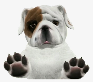 Bulldog Puppy - Transparent Background Dogs Png #655455