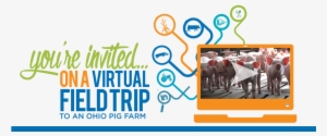 You're Invited On A Virtual Field Trip To An Ohio Pig - Salt River Fields At Talking #655680