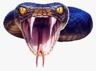 Black Mamba Snake Png Photo - Black Mamba Snake Png #656253