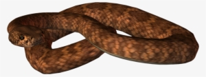 Free Png Animated Snake Png Images Transparent - Common Brown Snake Png #656545