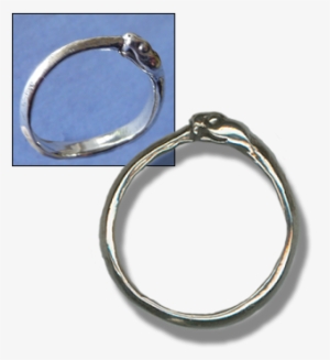 Ouroboros Ring - Ring #657474