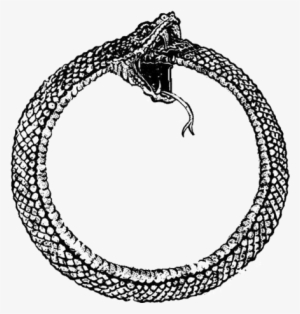 My Birth Year Being The Year Of The Snake, I Was Attracted - Snake Circle #657477