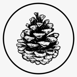 Illustrator #657712