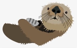 Funny Otter Cliparts - Sea Otter Clip Art #657799