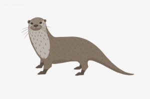 Otter - North American River Otter #657843