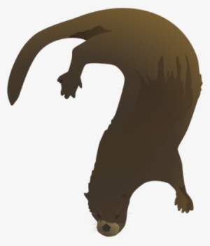 Lontra Canadensis - Transparent River Otter #658071