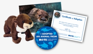 Items Included In Buddy Package - North American River Otter #658575