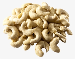 Raw Organic Cashew Nuts - Kešu Ořechy Bio Raw #658692