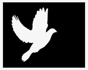 White Clip Art At - White Dove Vector Png #658982 White Clip Art At - White Dove Vector Png #658982