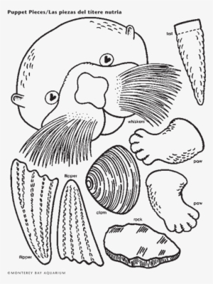 Sea Otter Lunch Bag Puppet - Otter Paper Bag Puppet #659042