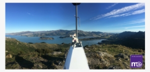 A Fond Farewell To Foggy - Summit #659149