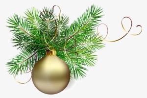 Transparent Gold Christmas Ball With Pine Clipart M=1381356000 - Christmas Tree Branch Png #659151