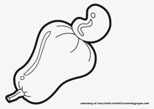 Collection Of Free Cadew Clipart Fruit Download - Cashew Black And White #659197