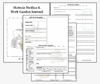 Record All These Wonderful Bachelor Button Facts On #6501719