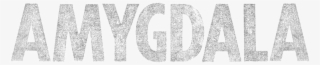 Amygdala Png #6502712
