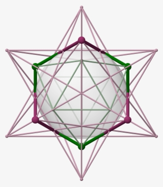 Skeleton Pair Gr12 And Dual, Petrie, Stick, Size S, #6503491