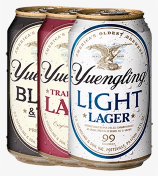 Yuengling Cans #6503803