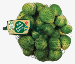 Centra Fresh Irish Brussel Sprouts Net 500g #6507253