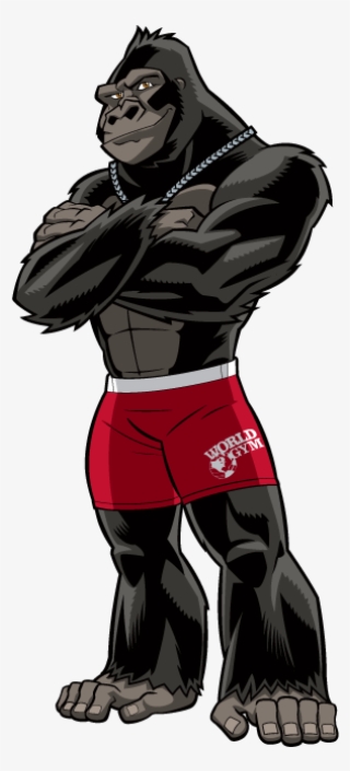 Personal Training From World Gym Malaga #6509740