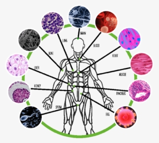 Check Us Out On Facebook @ Herbalife Products Uk #6512196