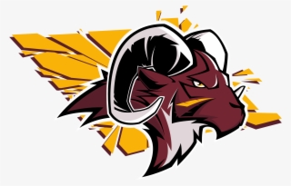 Votre Box De Crossfit Affiliée À Canéjan #6518292