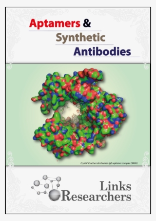 Aptamer #6519325