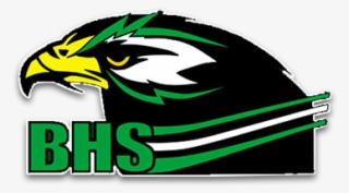 Hawk Logo Png #6520902