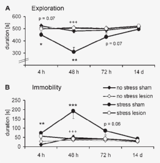Rprh Lesions On The Stress-induced Behavior Changes #6523182