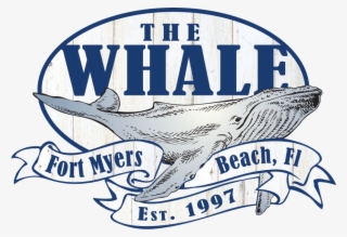 The Beached Whale #6523748