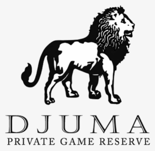 The Sabi Sands Is Part Of The Greater Kruger National #6524337