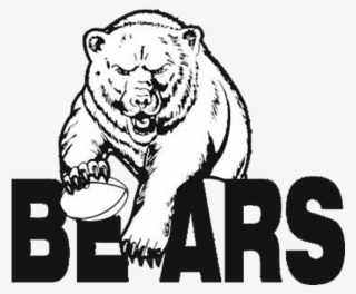 Bears Logo Png #6526225