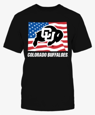 Flag Pride Logo State Front Picture #6526496