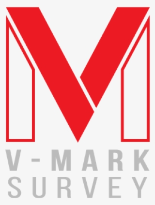 V-mark Survey Launches The New Website #6529450