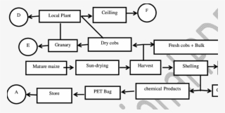 Maize Storage Technologies Identified #6534017