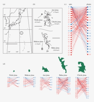 Study Sites On Chichi Jima, Ani Jima, Nishi Jima, Hahajima #6535179