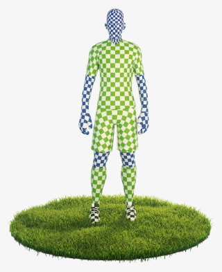 We Present To You A Game Ready Football Goalkeeper #6538167