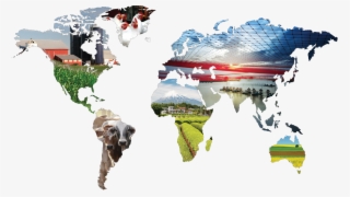 Investing In Global Diversity #6543124