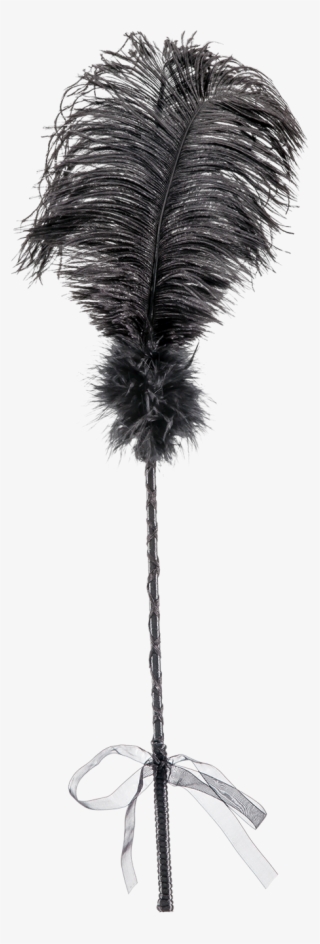 La Vie Nue Showgirl Feather Tickler #6543758