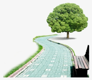 Park Png Clipart Background #6546766