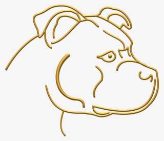 I Have Achieved Qualifications In A Number Of Courses, #6547414