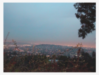 Soomcoa Losangeles Photography #6548291