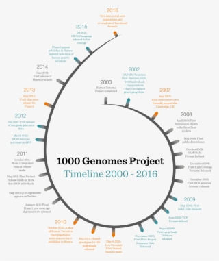 1000 Timeline Portrait #6548637