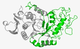 <div Class='caption-body'>1 Copy Of Pfam Domain #6550765