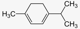 Alpha-terpinene Structure V #6550981