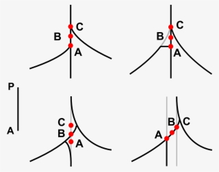Realistic Bregmas #6551142