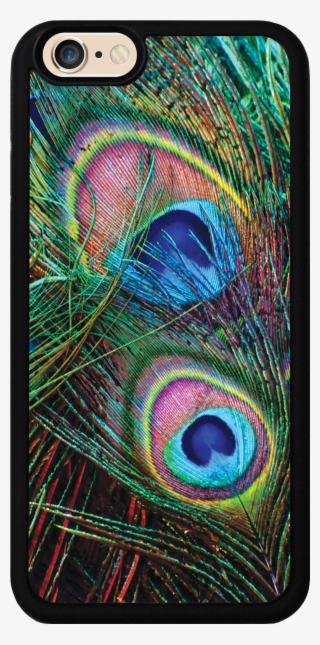 Peacock Feathers Case #6551862